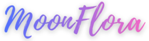 Shop Icon